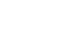 Electric Sander