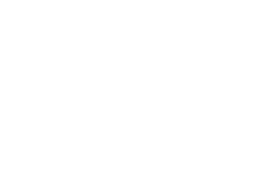 Electric Chain Saw
