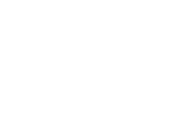 Electric Blower